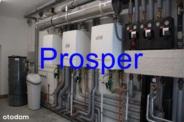 hala mag-prod. wys.5m - Pełny obrazek: 4/9