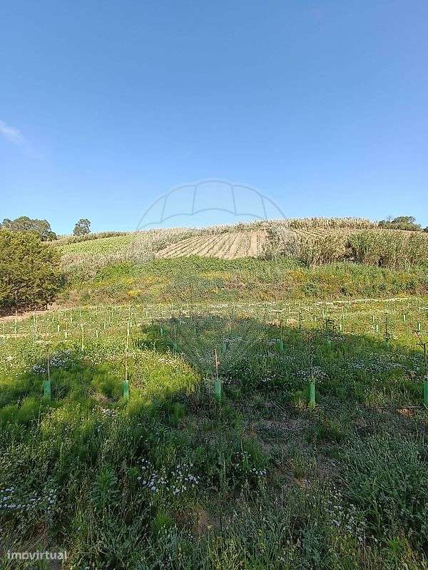 Terreno  para venda - Grande imagem: 3/10