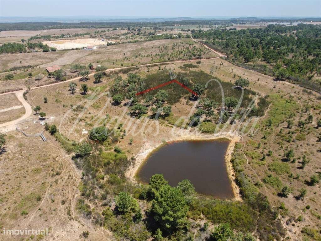 Quinta de 25ha com projeto aprovado - São Teotónio - Odemira-16