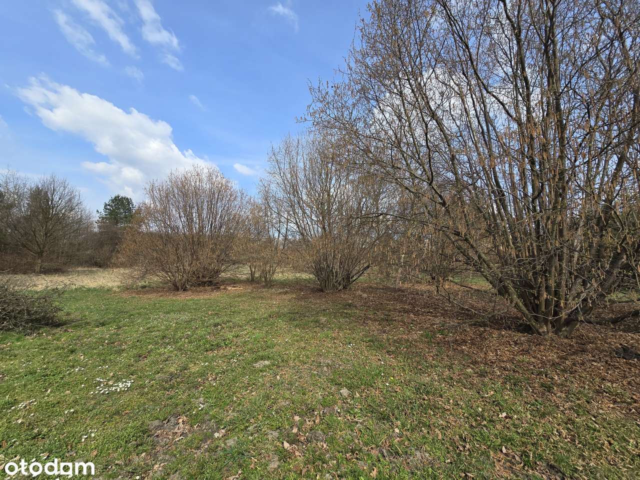 Ładne 2 działki budowlane w Orzeszu Jaśkowicach - Pełny obrazek: 4/4