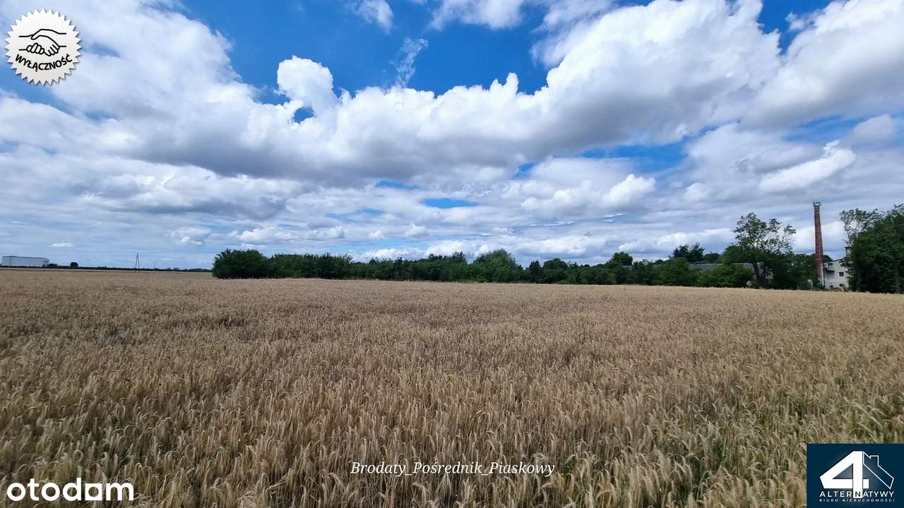 Duża działka budowlana na wsi. - Pełny obrazek: 4/7
