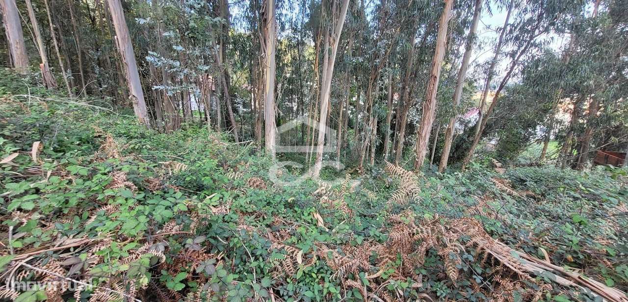 Terreno em Pousada de Saramagos - Grande imagem: 4/12