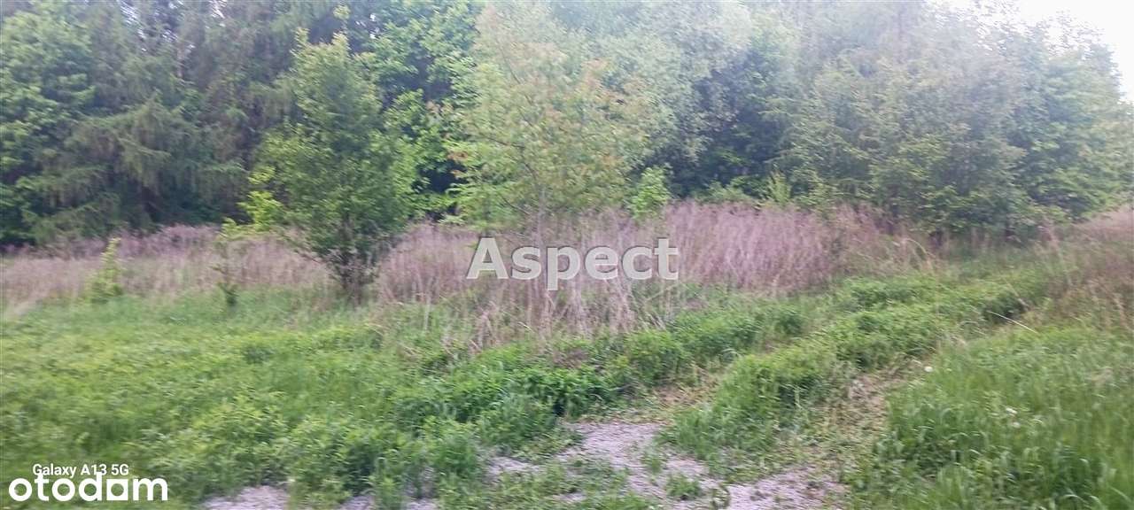 Działka budowlano- rolna w cichej okolicy - Pełny obrazek: 5/7