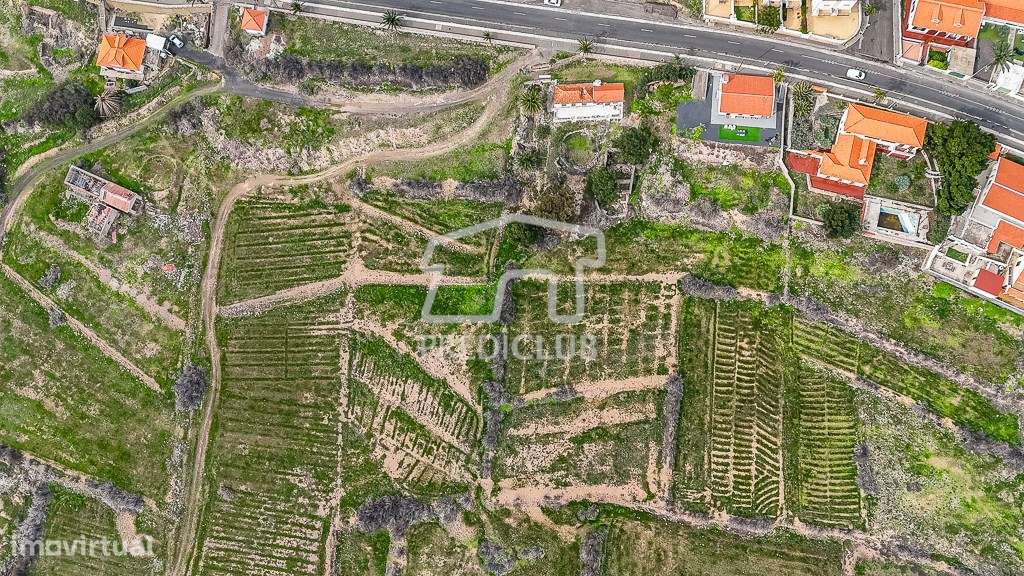Terreno 4960 m2 - Porto Santo - Grande imagem: 3/12