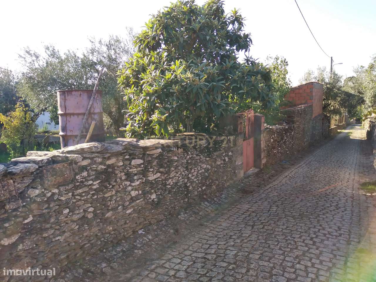 Terreno Rústico com duas construções, Amarelos, Castelo Branco - Grande imagem: 5/7