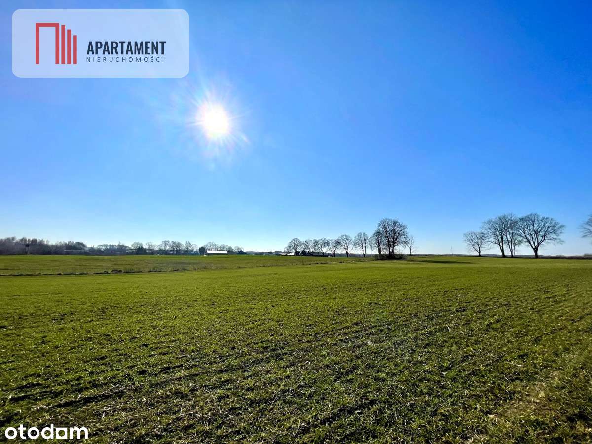 Obniżka ceny!Działki idealne pod przyszłą zabudowę - Pełny obrazek: 5/7