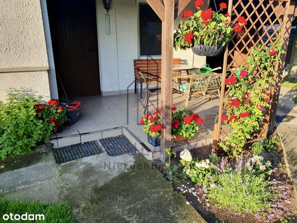 Piękna działka ROD _ Nekla _ Borówno - Pełny obrazek: 5/18