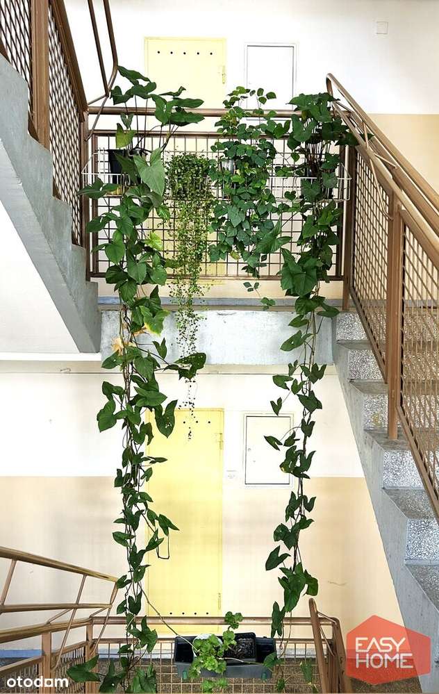 Przy Malcie, balkon, niski blok, Przemysława-17
