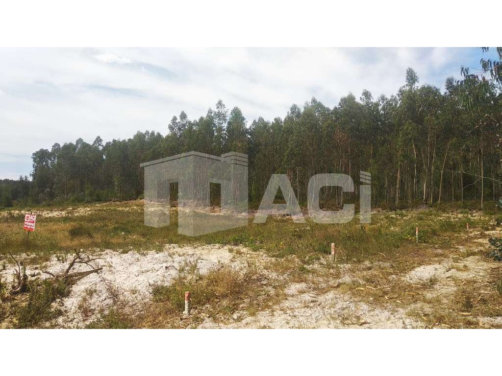 TERRENO - Milagres, Leiria - Grande imagem: 4/6