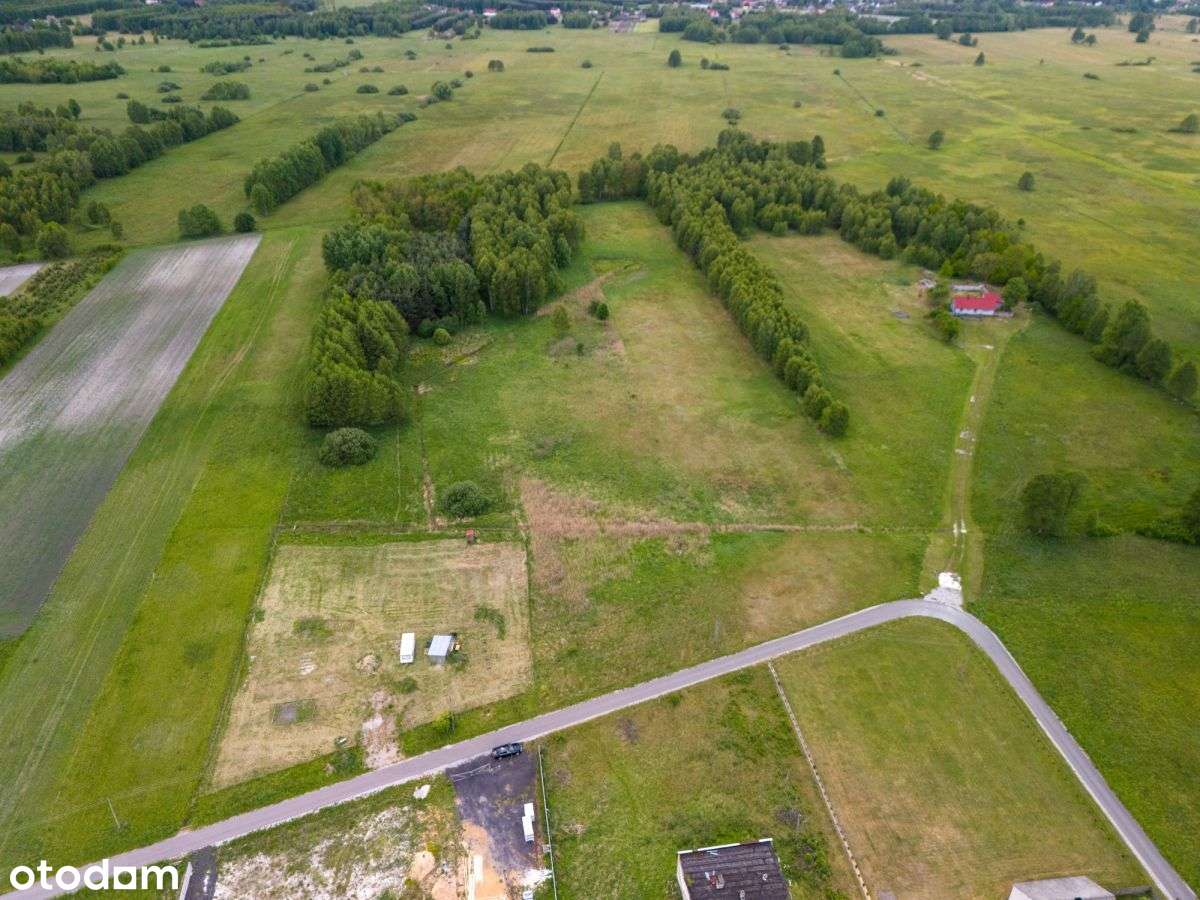 Szeroka, malownicza działka budowlana z lasem - Pełny obrazek: 5/9