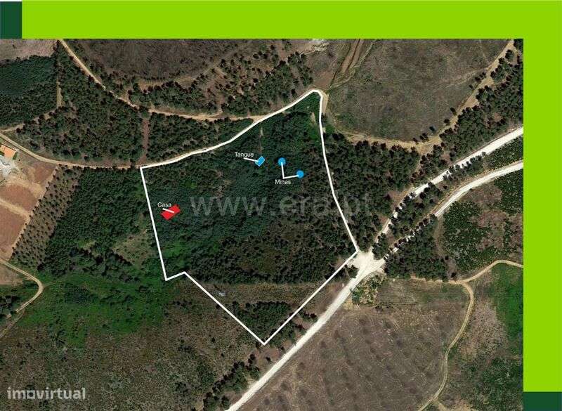 Terreno com ruina / Covilhã, Serra da Estrela - Grande imagem: 5/5