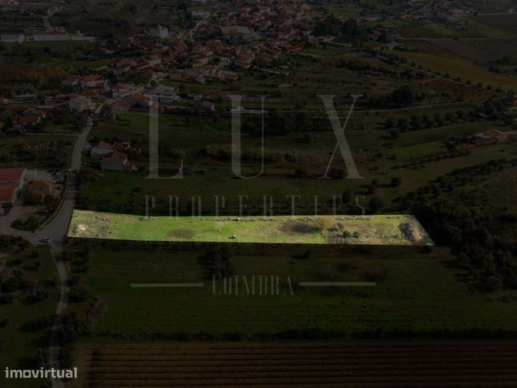 Terreno | Ventosa do Bairro, Mealhada-6
