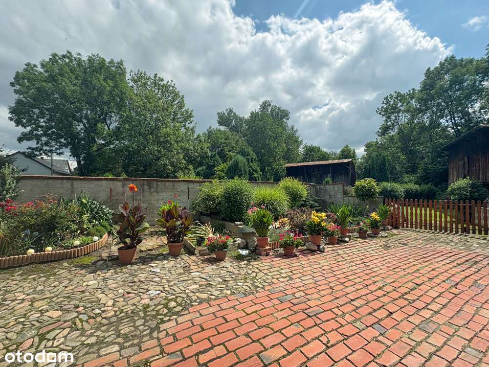 Zamień codzienny pośpiech na codzienny spokój!-11