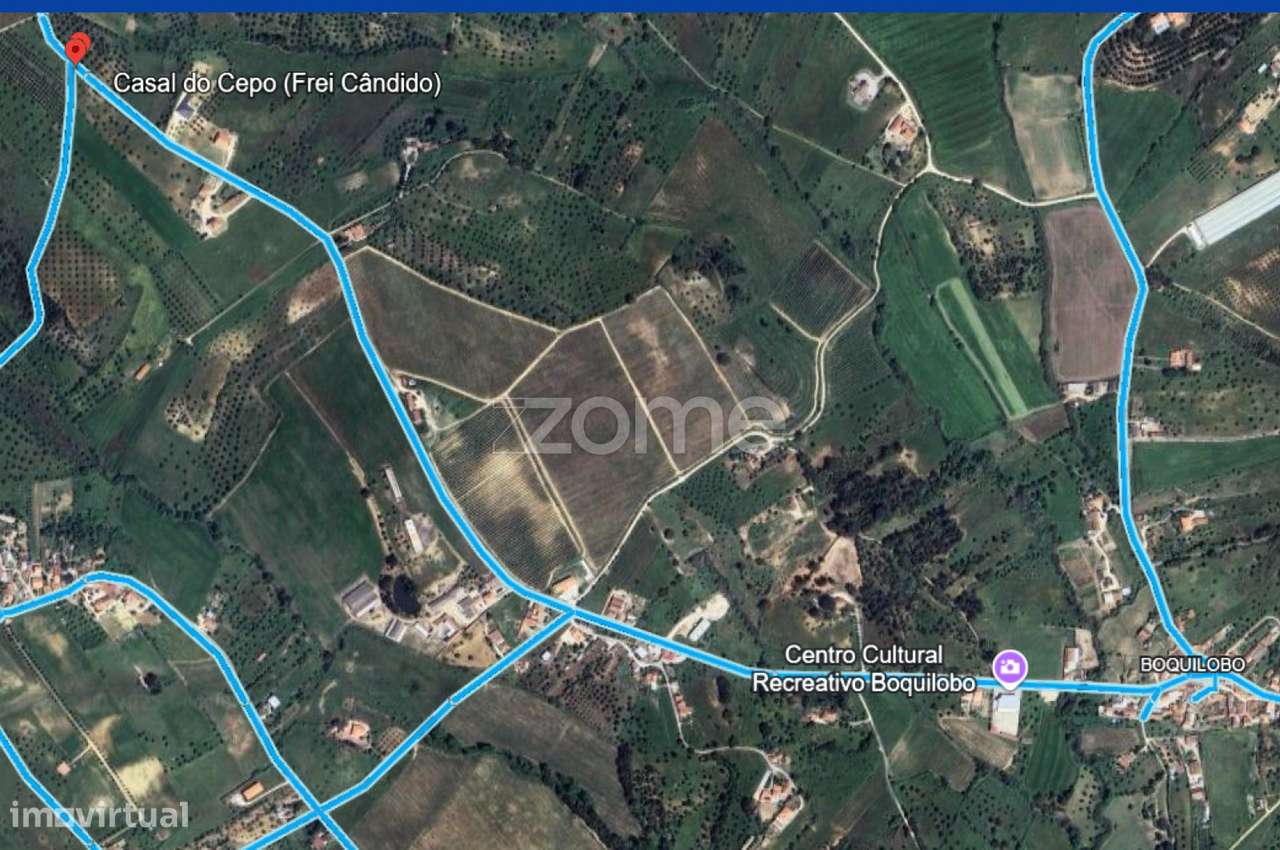 Quinta em Torres Novas-6