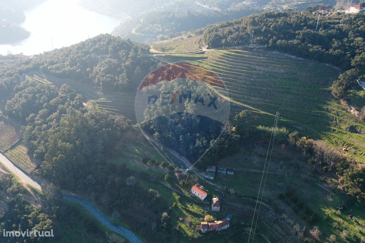 Terreno  para venda