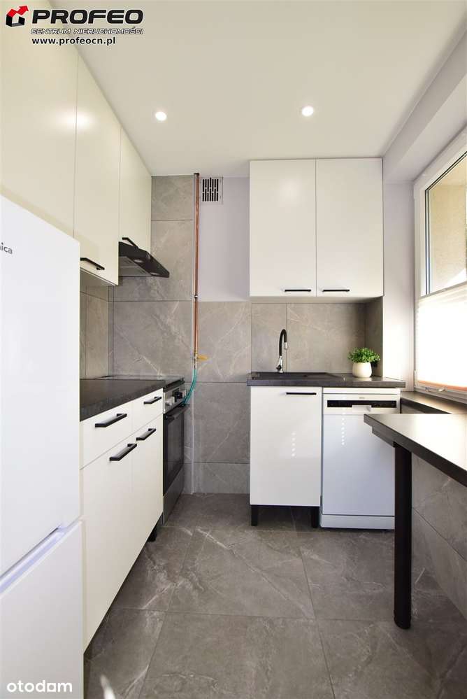 Mieszkanie na wynajem, Bielsko-Biała, 1 pokój - Pełny obrazek: 4/13