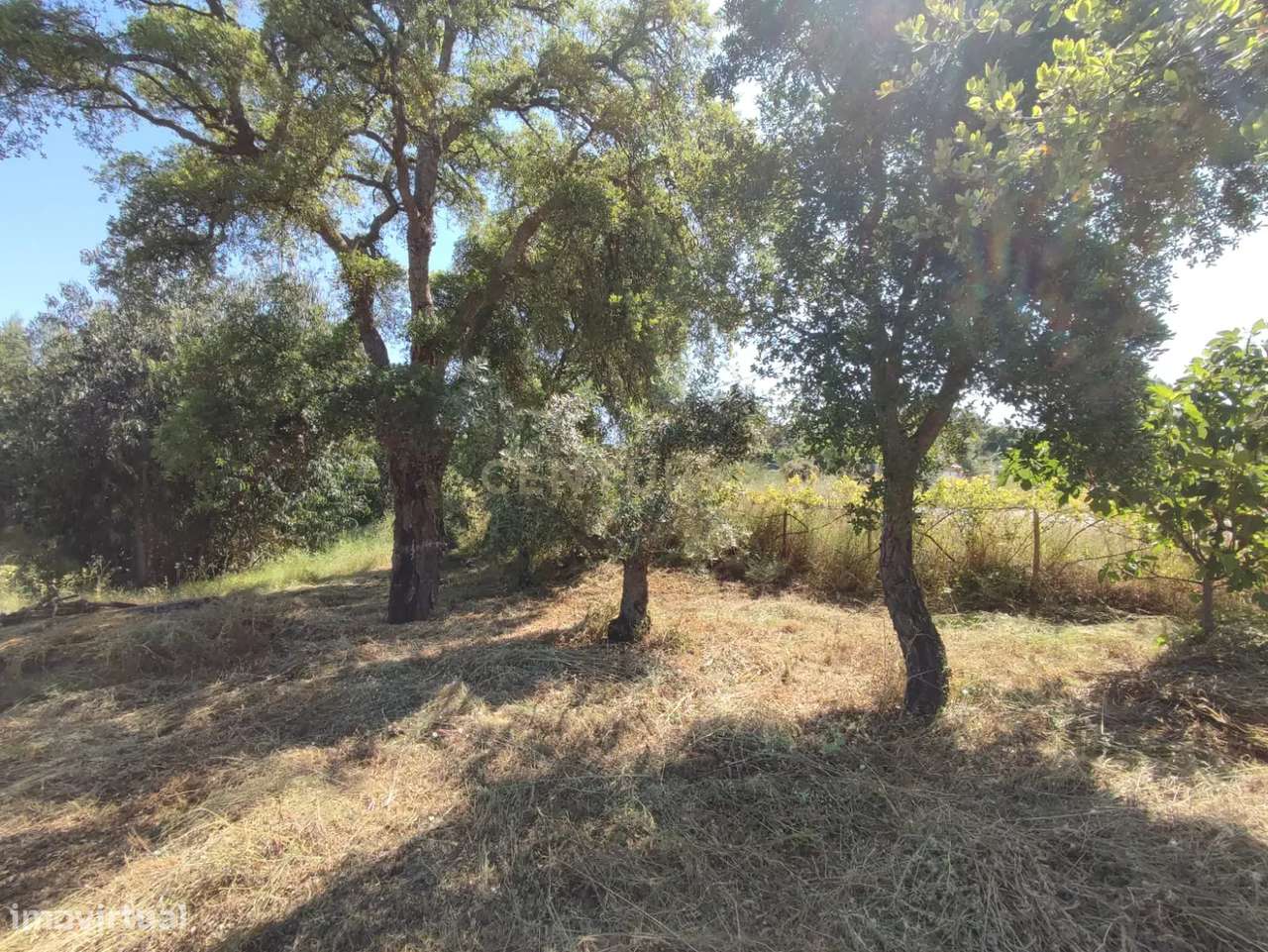 Terreno com água, Aldeia de Santa Margarida - Grande imagem: 3/8