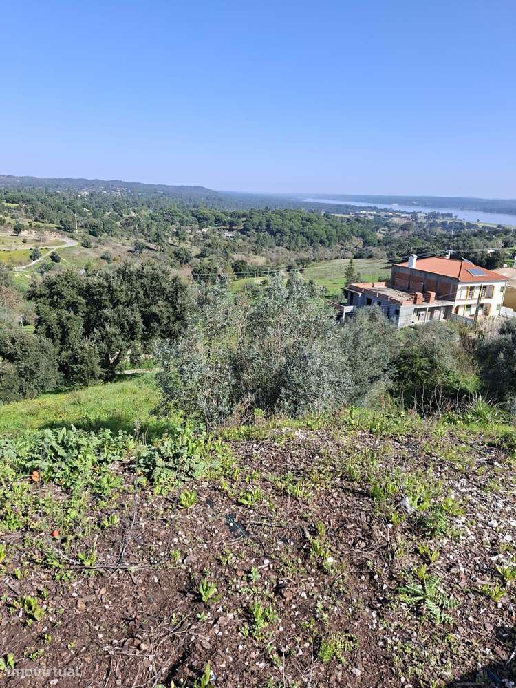 Oportunidade – Lote de Terreno em Montargil-5