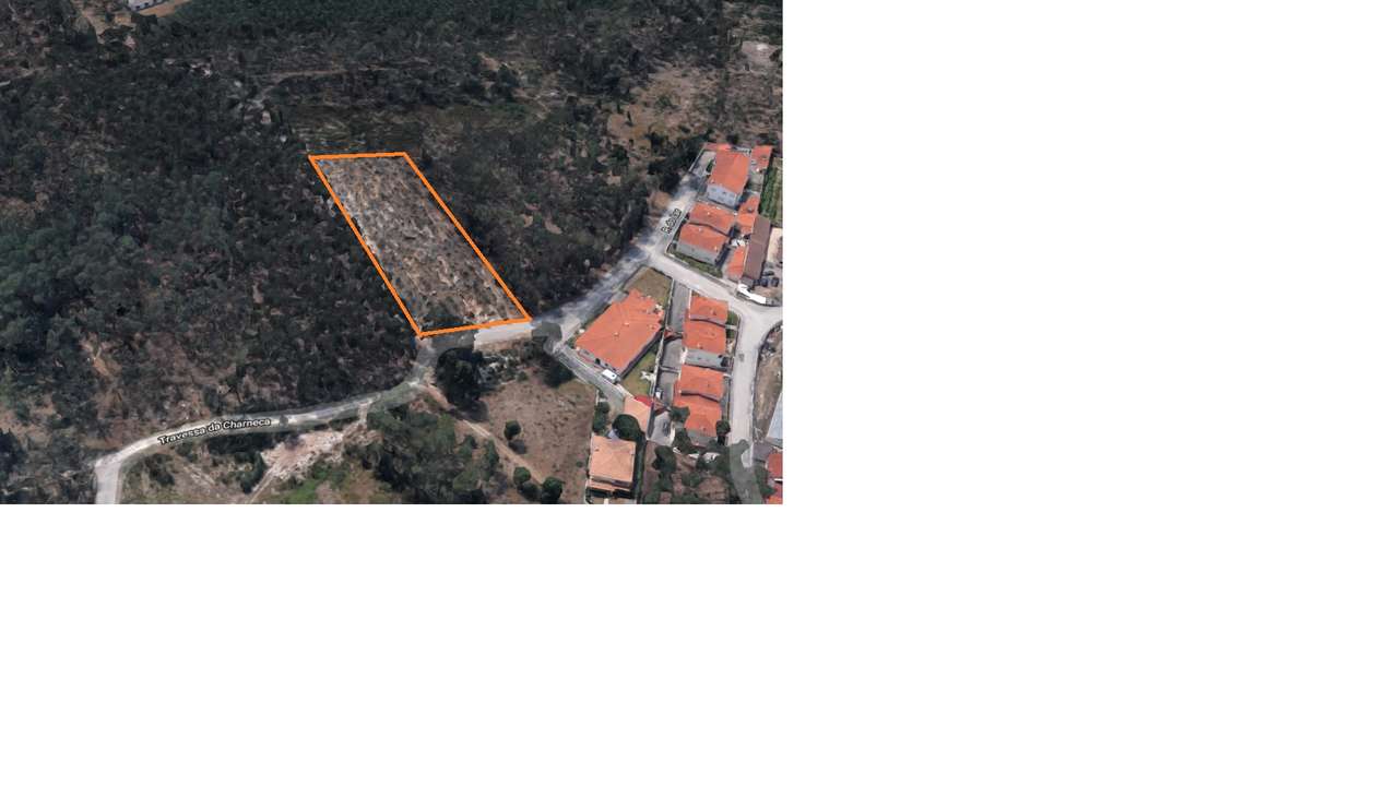 Terreno  Venda em Amor,Leiria - Grande imagem: 3/3