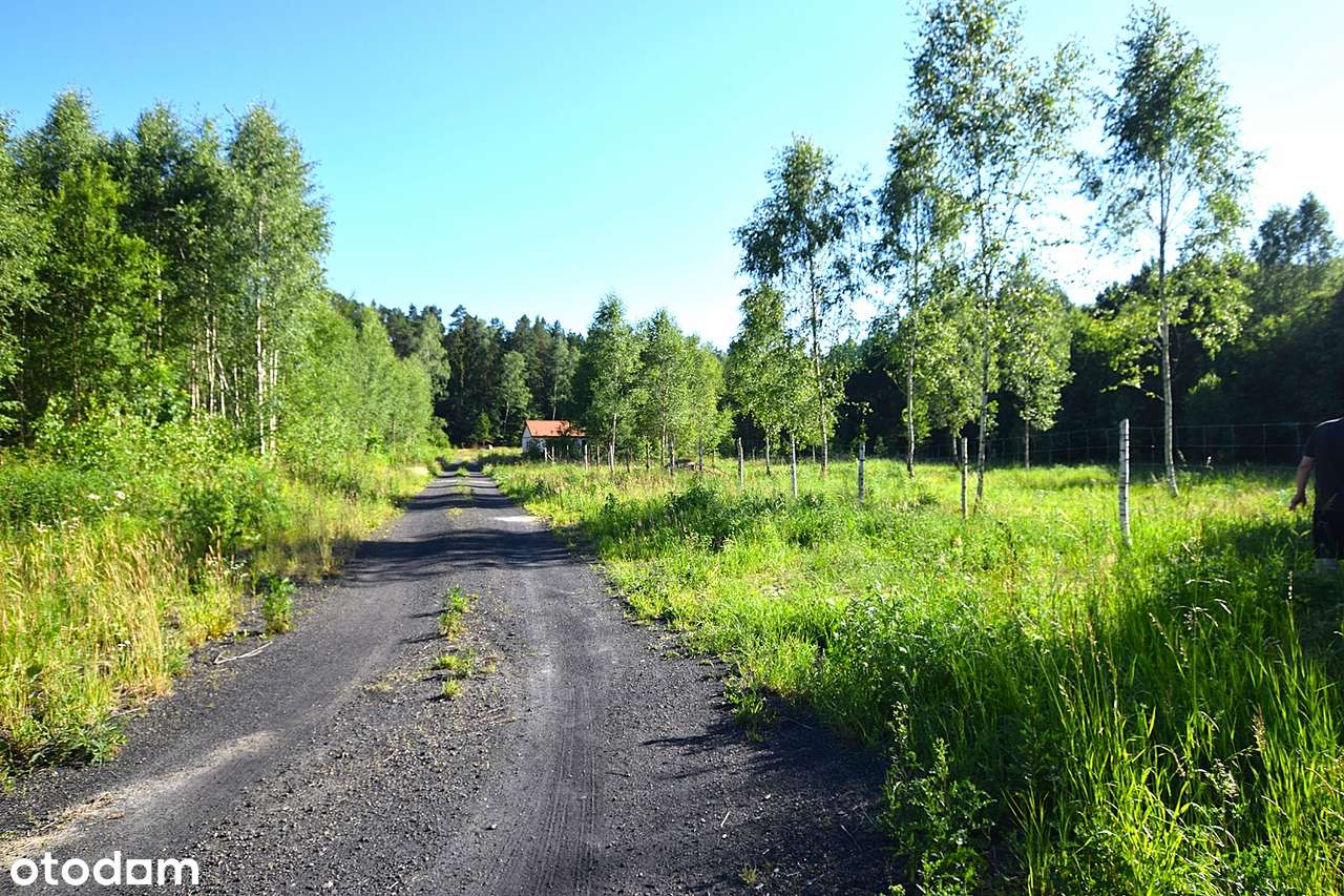 SPRZEDAM !!!! Piękną działkę z warunkami zabudowy gm. Gietrzwałd-8