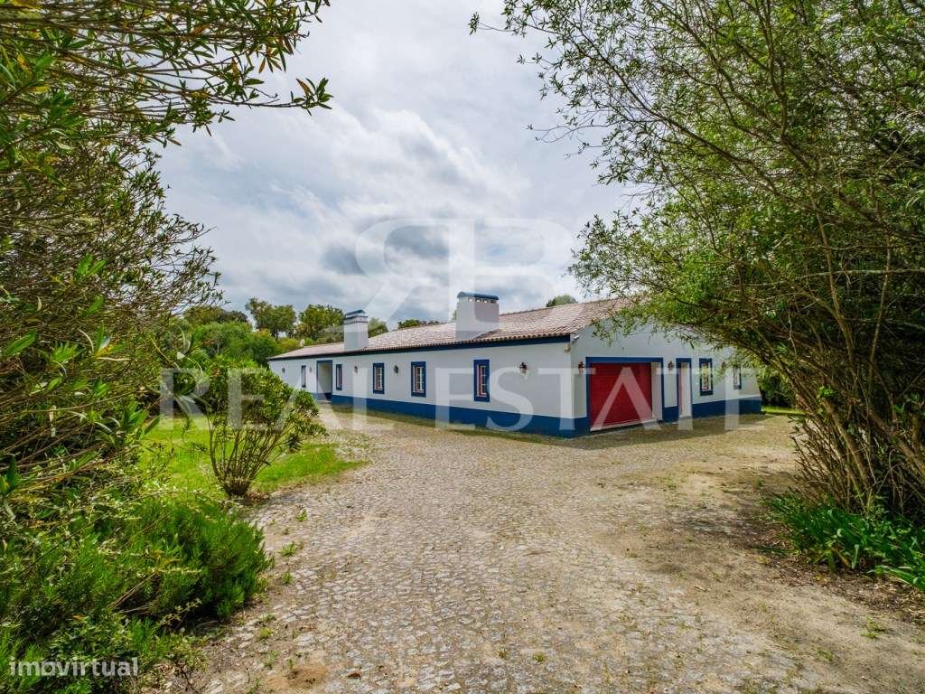 Propriedade no Alentejo | Montemor-o-Novo | A uma hora de Lisboa-3