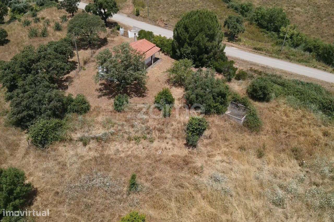 Terreno Rústico c/ 28.840m2 e Armazém de 30m2, S.M. da Serra em Mon... - Grande imagem: 5/53