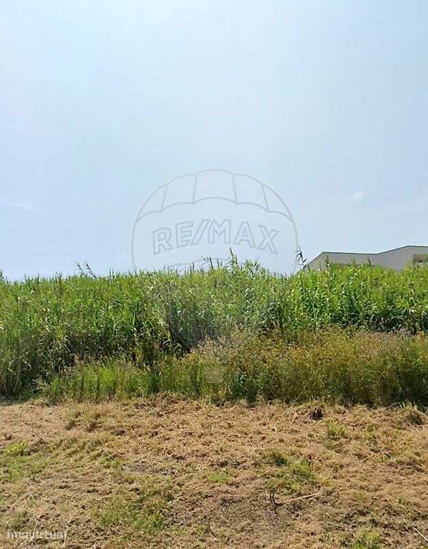 Terreno  para venda - Grande imagem: 2/5