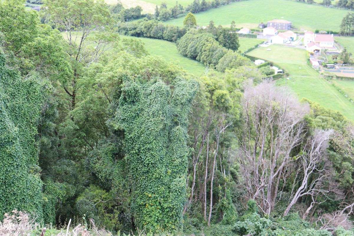 Terreno  para venda - Grande imagem: 4/4