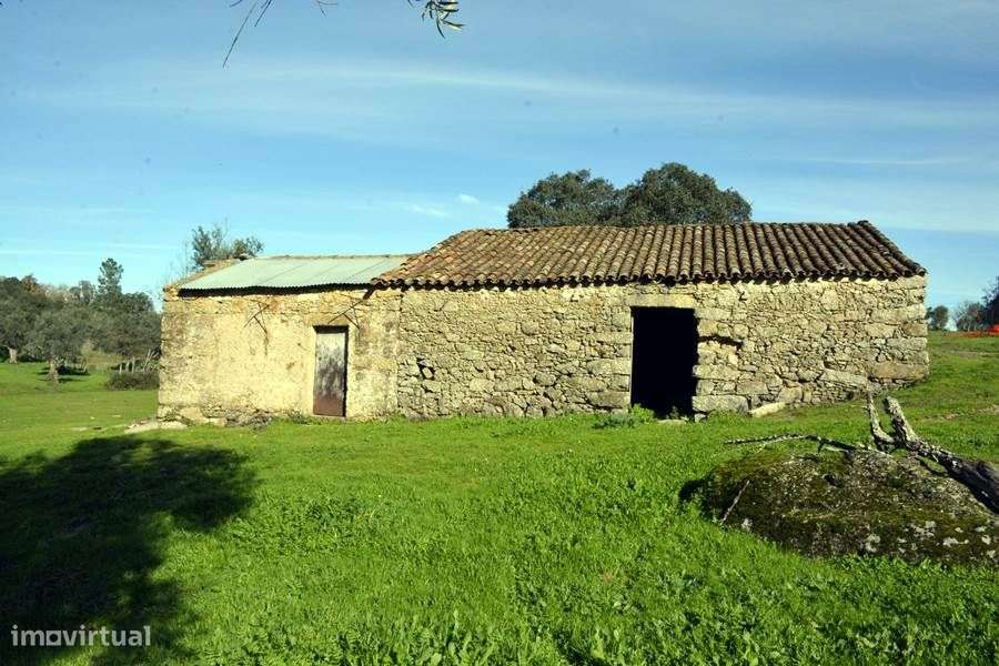 Herdade do Monte da Pedra. - Grande imagem: 4/29