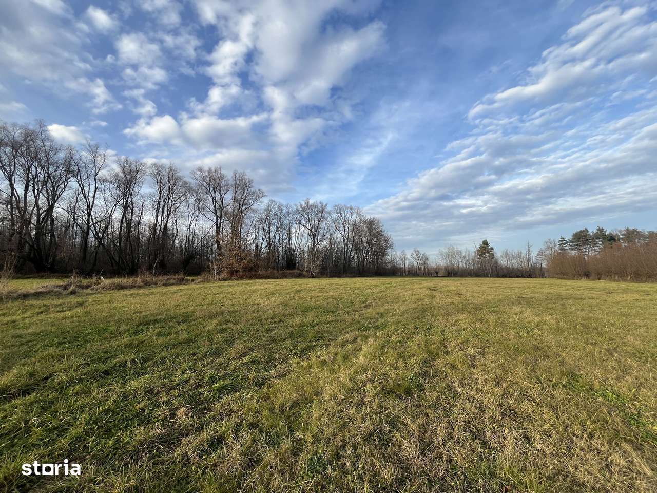 TEREN INTRAVILAN GENEROS | 72 ARI | GALANESTI - Imagine principală: 5/11