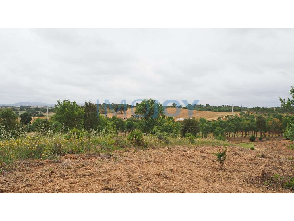 Terreno com 3,1ha com viabilidade de construção Hotel Rural, no Cer... - Grande imagem: 3/8