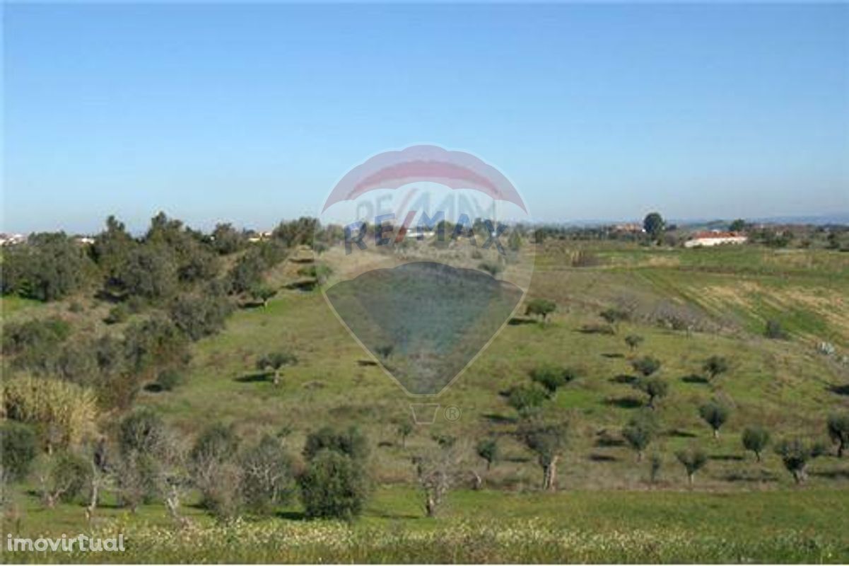 Terreno para agricultura com água