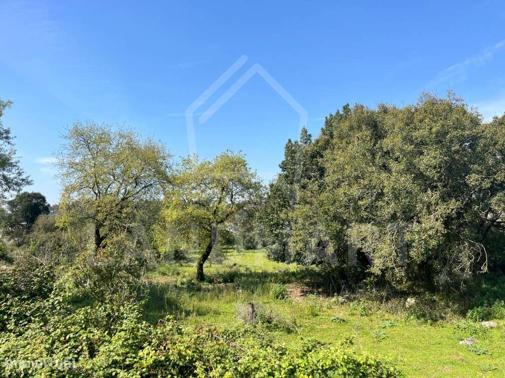 Terreno, Charneca do Rio Seco - Turquel - Grande imagem: 2/3