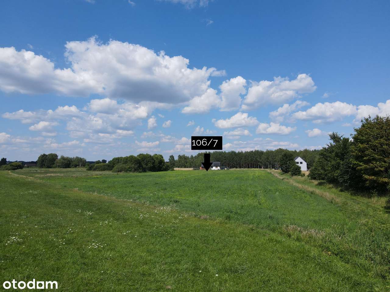 Działka na łonie natury - 2,6 km od Szubina - Pełny obrazek: 5/10