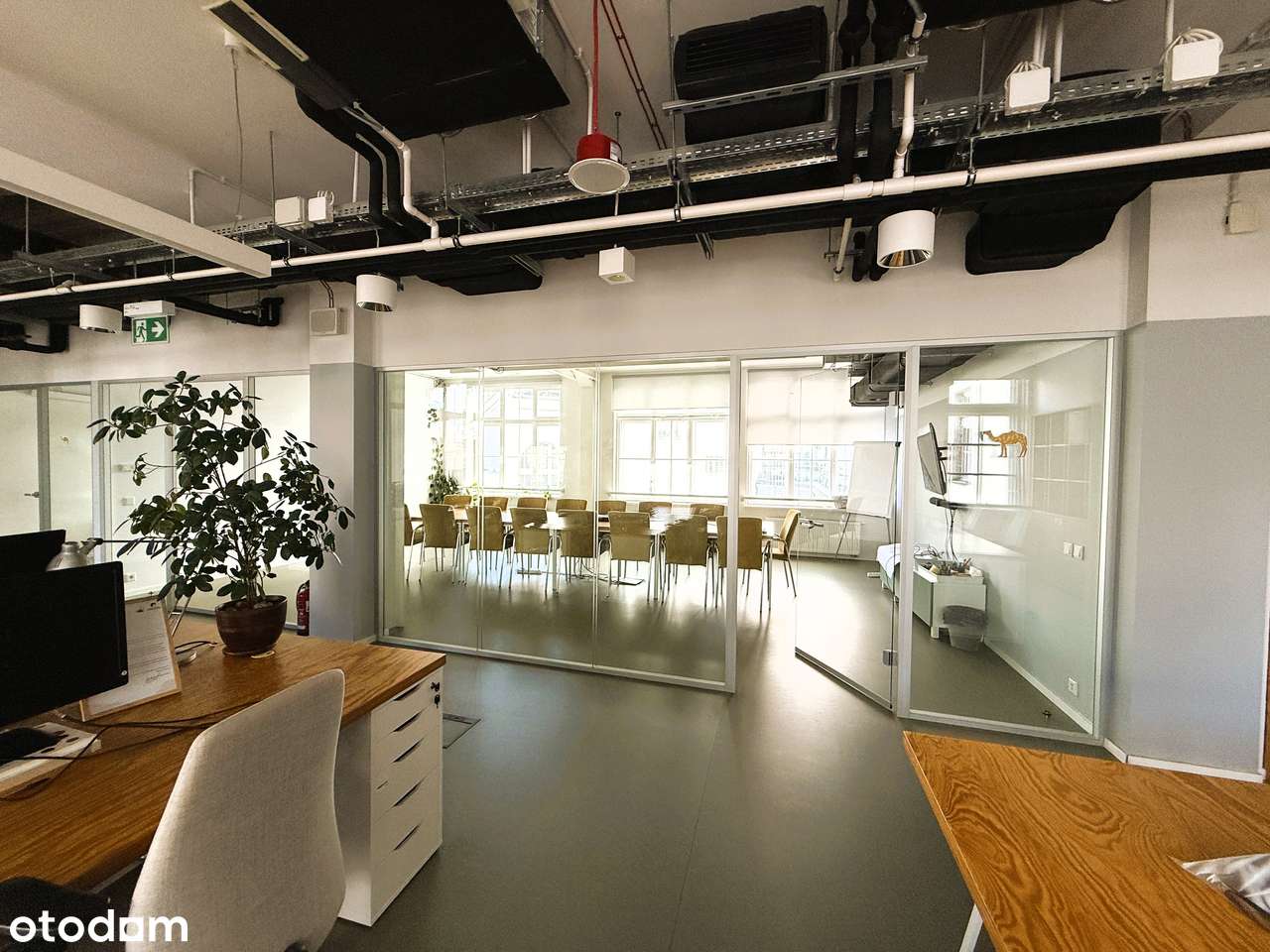 Industrialne piękne biuro w ścisłym centrum - Pełny obrazek: 5/19