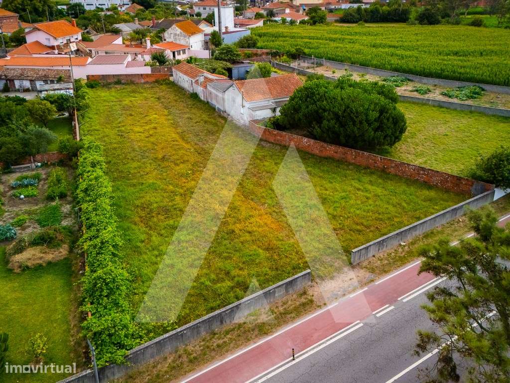 Terreno construção moradia - Murtosa - Ria de Aveiro-15