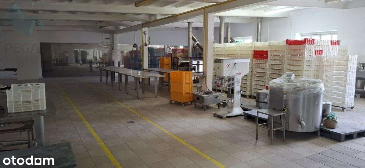 Obiekt produkcyjno - mieszkalny Tarnowo Podgórne-5