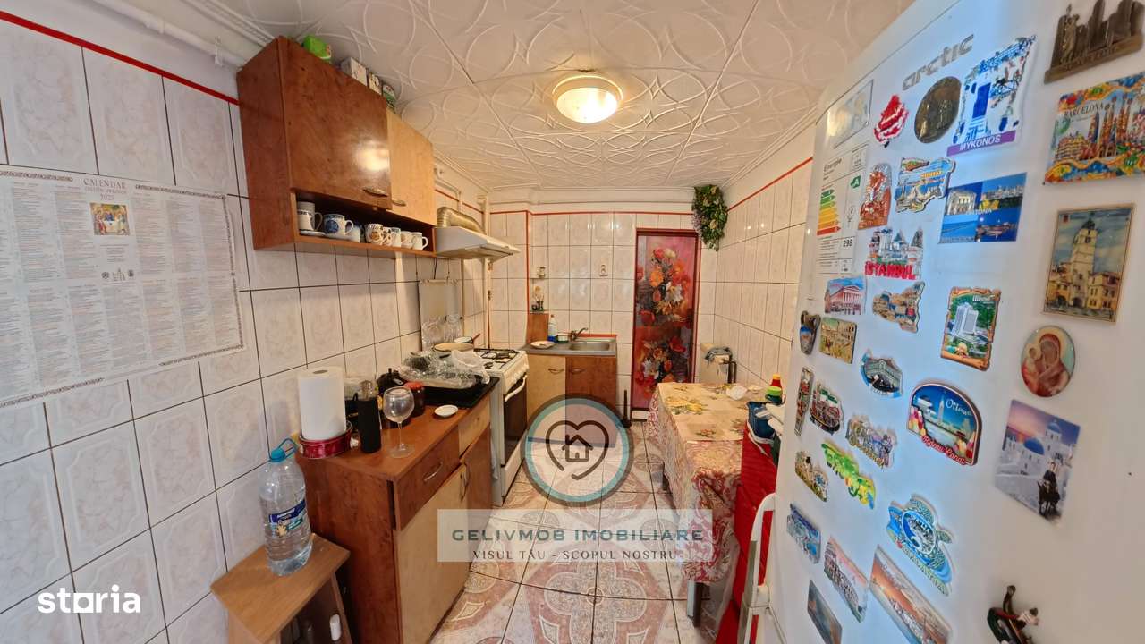 Central, Stadion - casa + garaj + beci + 217 mp teren-10