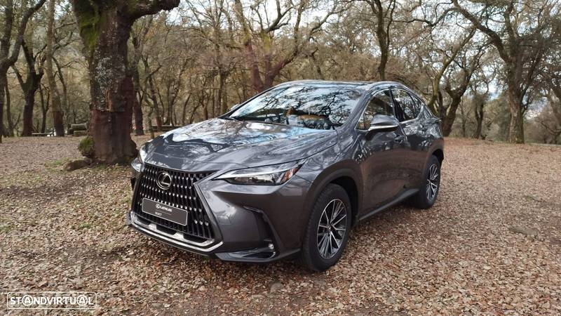 Lexus NX 450h+ Executive+ - 1