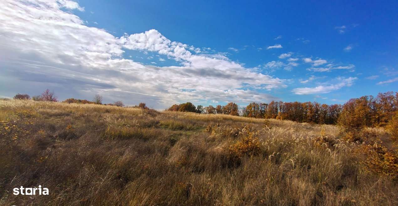 Terenuri intrevilane Comuna Mosoaia - Imagine principală: 5/10