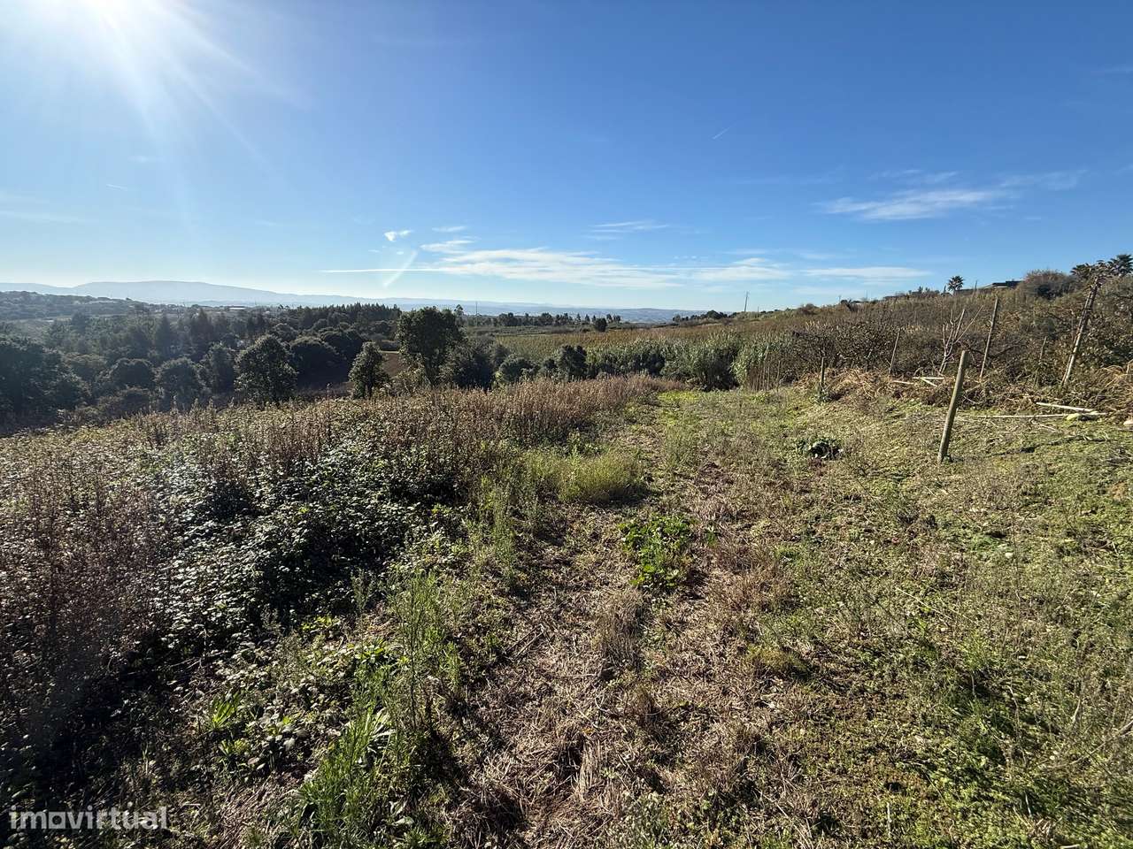 Terreno de 2.480m2 para construção - Usseira, Óbidos-16