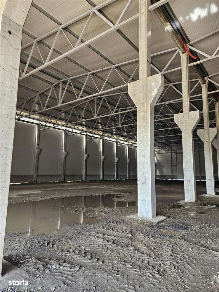 Spatiu Industrial - 4500 mp - Logistica - Depozitare - Productie - Imagine principală: 5/8