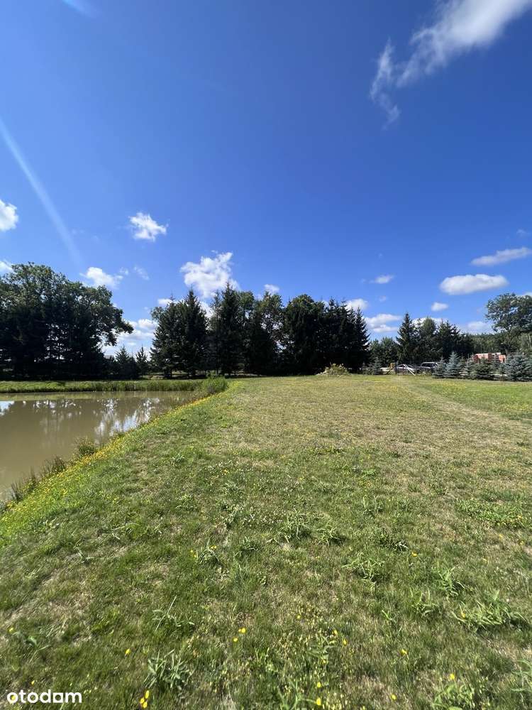 Działka W Otulinie Puszczy Zielonka - Pełny obrazek: 5/8