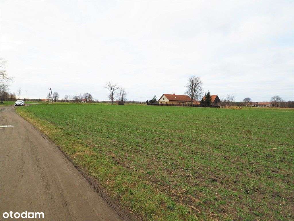 Malownicza działka budowlana 1,13 ha, Zagajnik - Pełny obrazek: 4/6