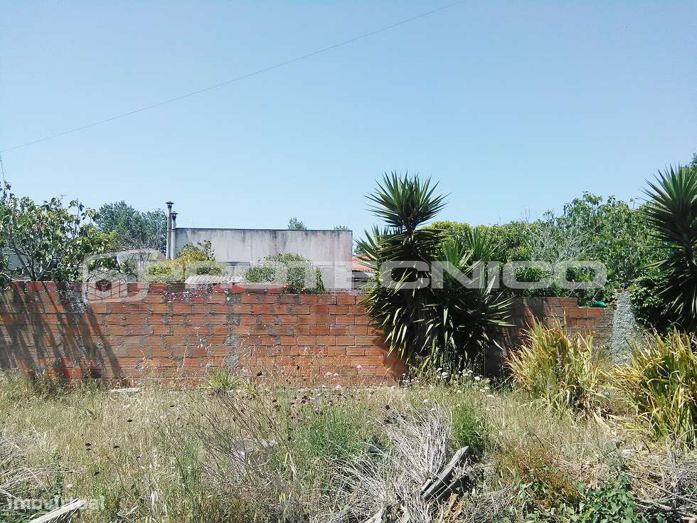 Terreno c/ 470m2 - Gafanha da Nazaré - Grande imagem: 5/5