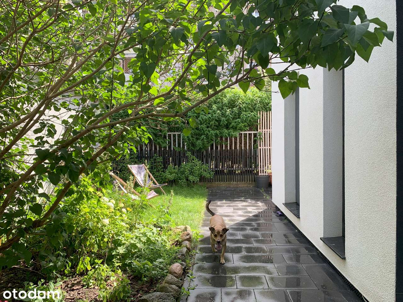 Nowoczesny Dom w Elblągu - Pełny obrazek: 5/20