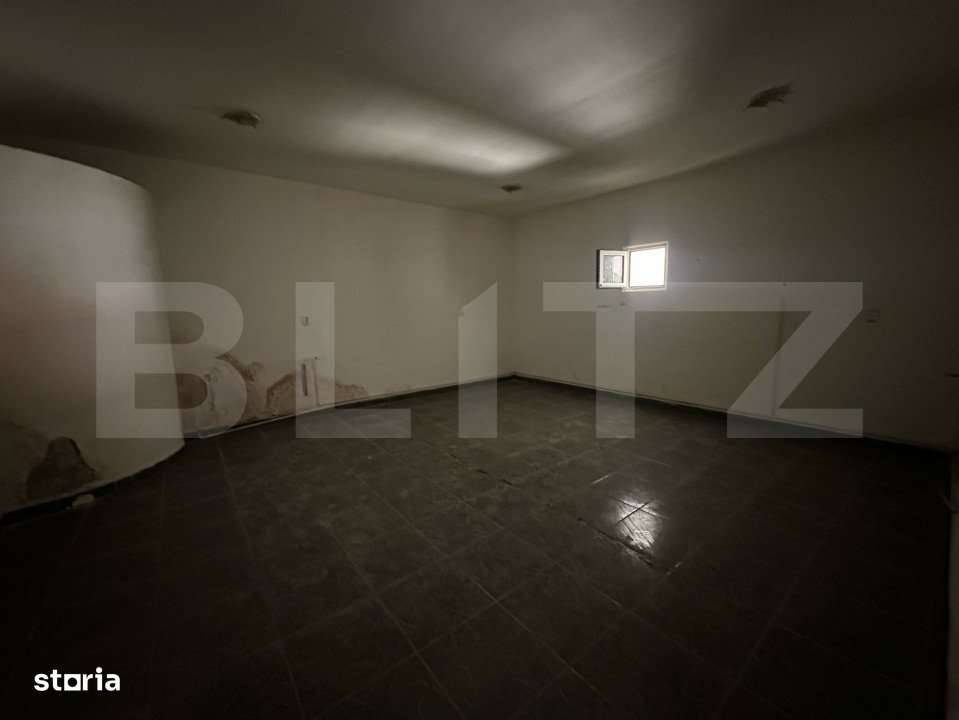 Spatiu comercial, 293 mp/129 mp, zona ultracentrala cu Vad - Imagine principală: 5/6