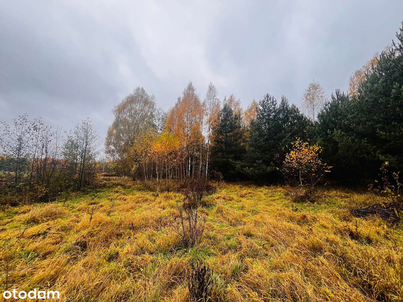 Atrakcyjna działka przemysłowo-usługowa 4000 m² w strefie przemysłowej - Pełny obrazek: 5/8