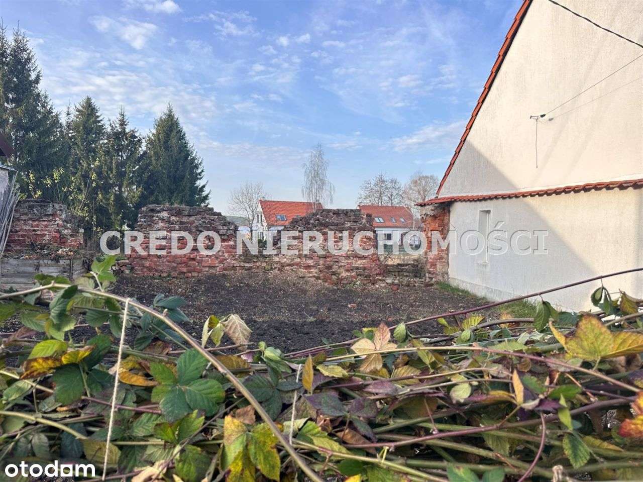 Działka W Centrum Pasymia Pod Zabudowę - Pełny obrazek: 4/12