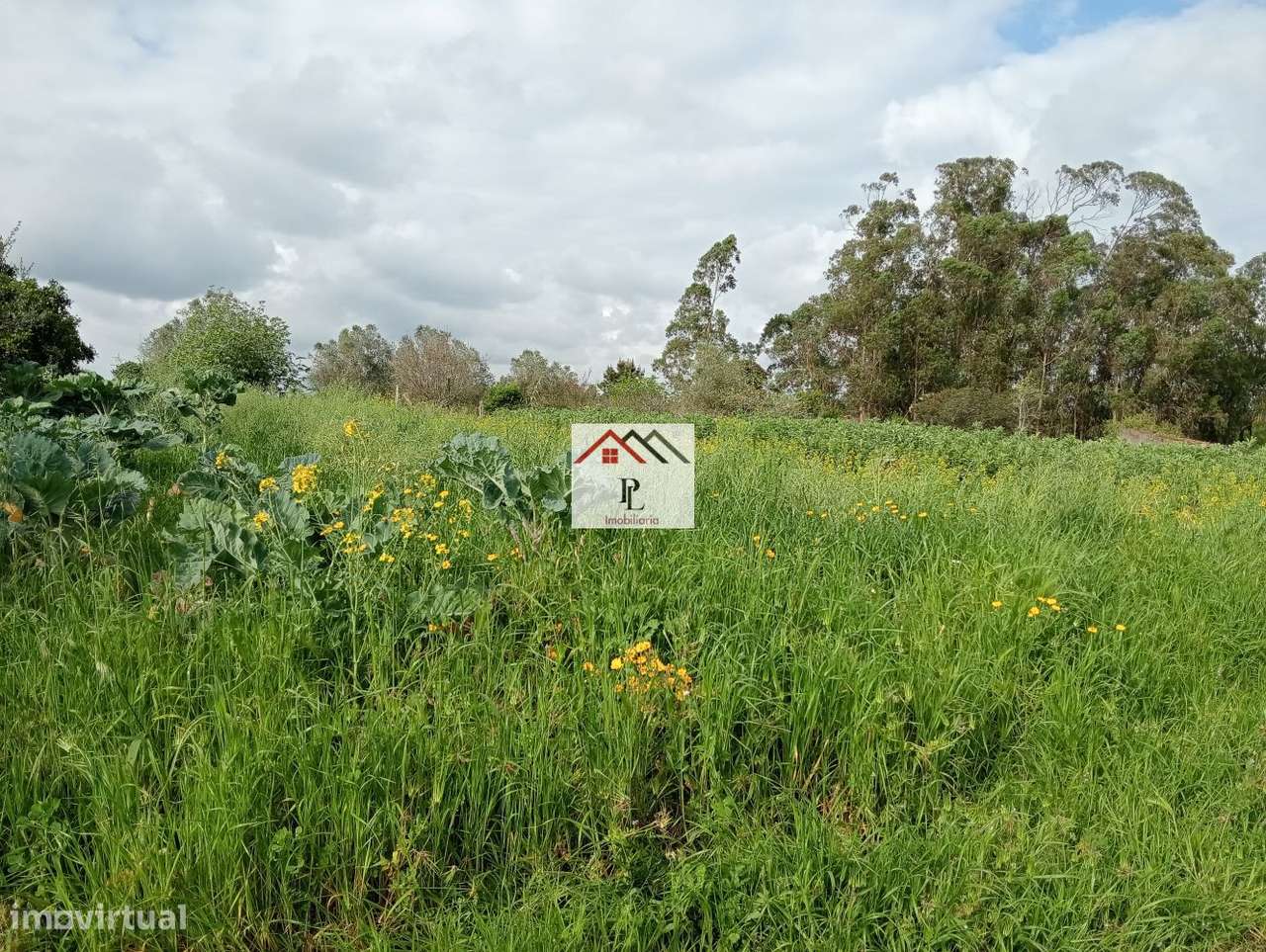 Moradia Térrea T1+1 para reconstrução no Meco em Montemor -o Velho-33